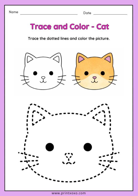 Cute cat animal tracing worksheet for preschool kids with dotted lines for tracing and coloring