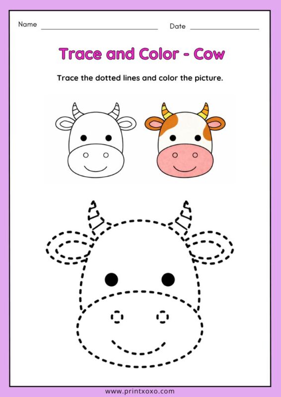 Cute cow animal tracing worksheet for preschool kids with dotted lines for tracing and coloring