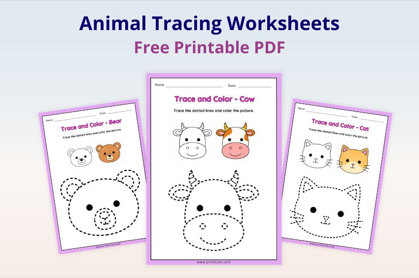 Animal tracing worksheets free printable PDF for kids featuring cow bear and cat tracing pages