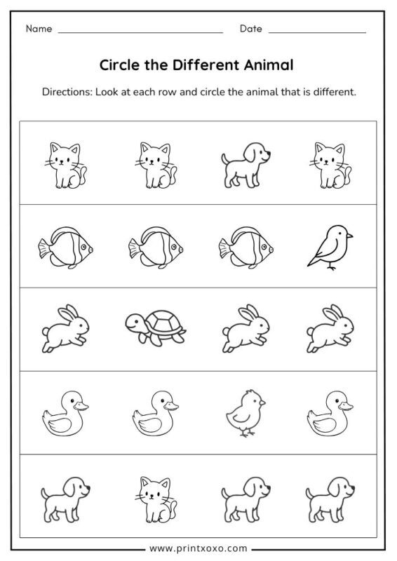 Circle the different animal worksheet for preschool kids with simple animal picture rows