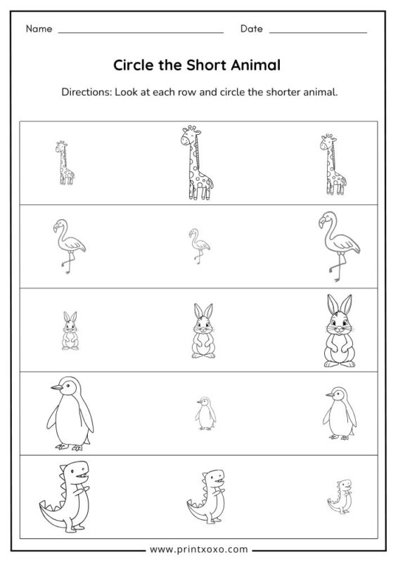 Circle the Short Animal worksheet for preschool and kindergarten kids printable PDF