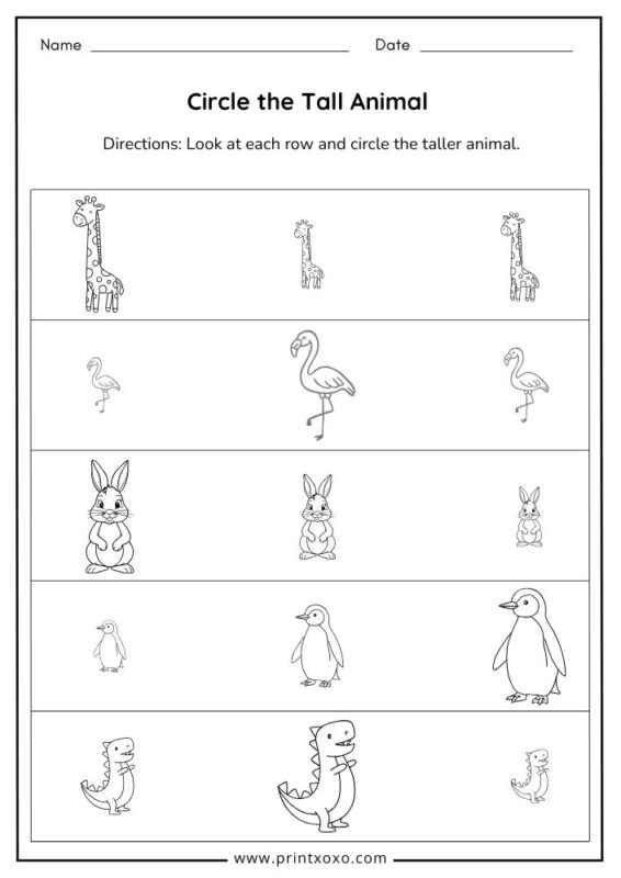 Circle the Tall Animal worksheet for preschool kids free printable tall and short animal activity