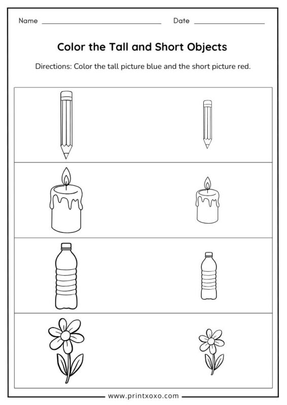 Color the Tall and Short Objects worksheet for preschool kids free printable activity