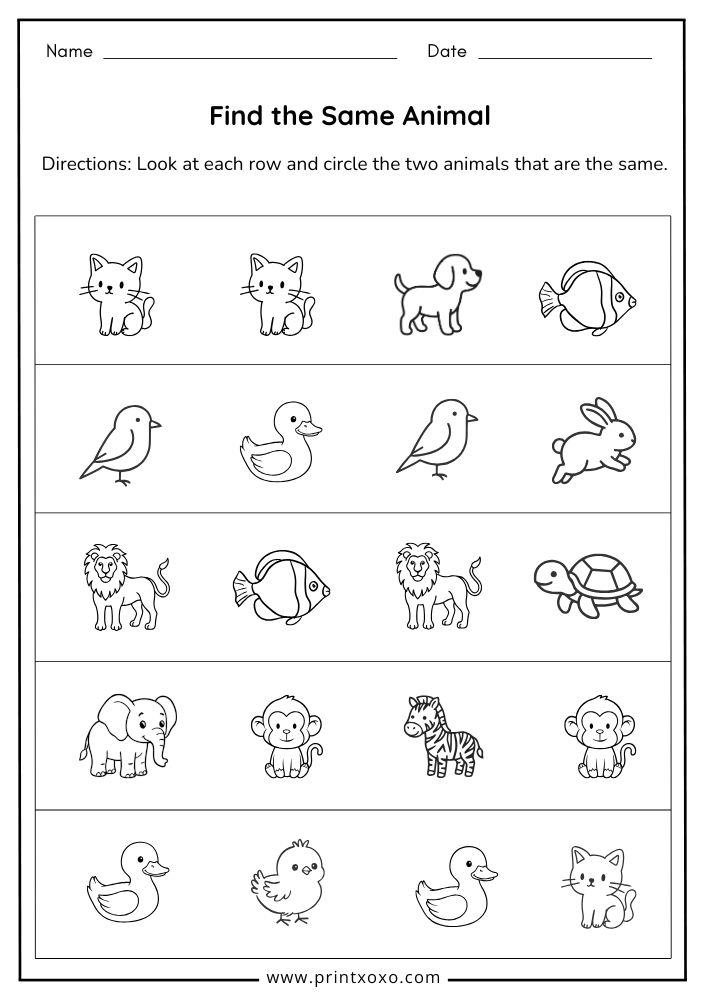 Same and Different Worksheets – Free Printable PDF for Preschool ...