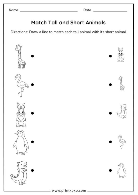 Match Tall and Short Animals worksheet for preschool and kindergarten printable PDF