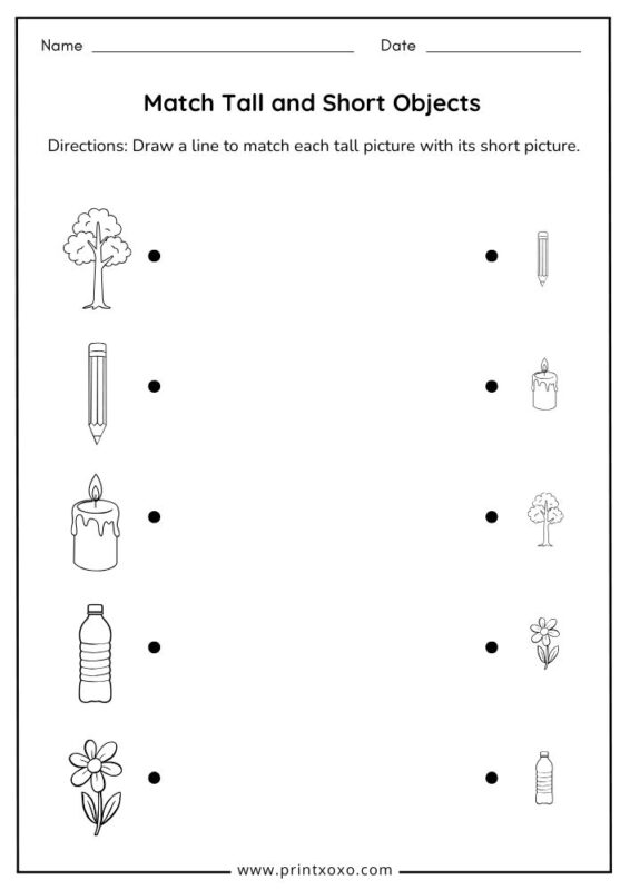 Match Tall and Short Objects worksheet for preschool kids free printable matching activity