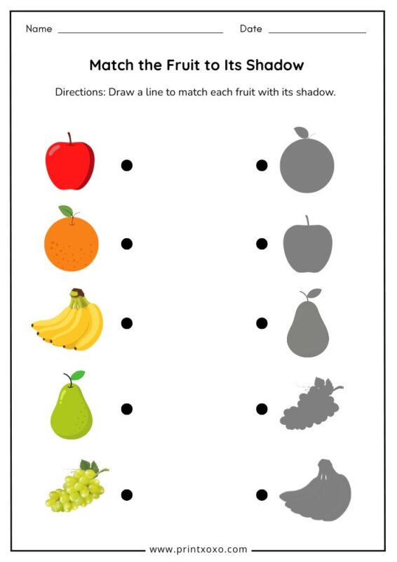Match the fruit to its shadow worksheet free printable for preschool and kindergarten
