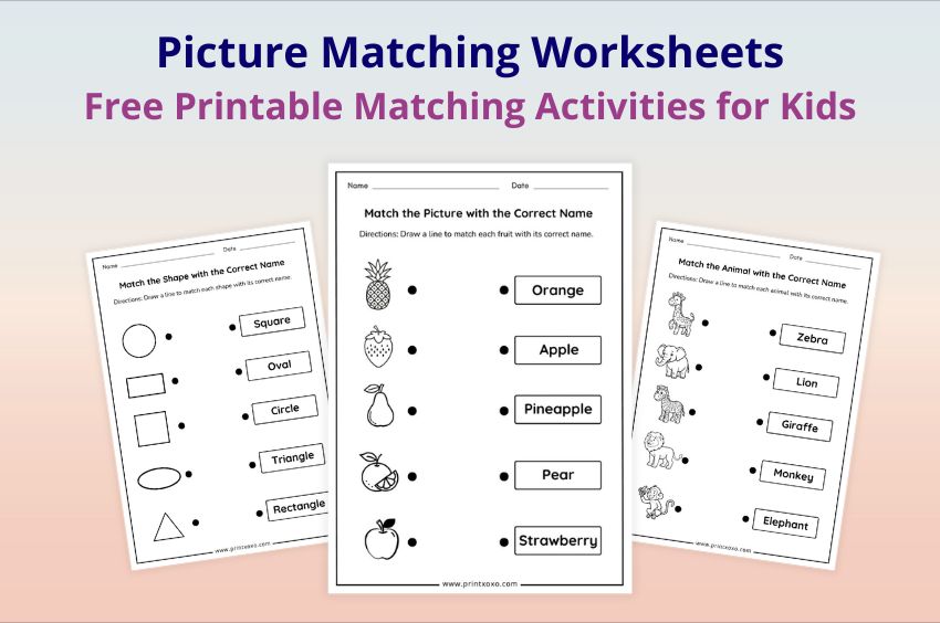 Picture matching worksheets printable for preschool and kindergarten kids