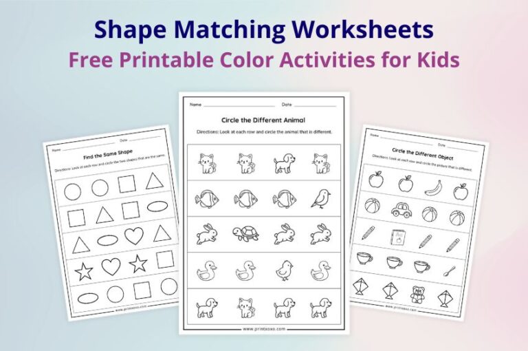 Same and Different Worksheets – Free Printable PDF for Preschool ...