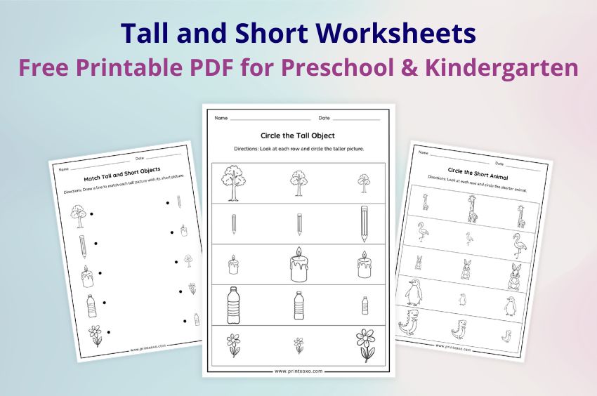 Tall and Short Worksheets free printable PDF for preschool and kindergarten kids