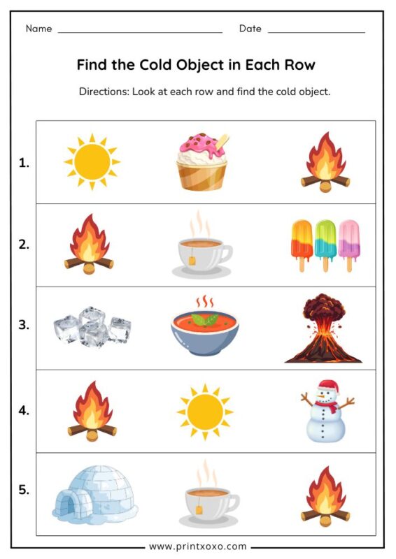 find the cold object in each row worksheet for kindergarten kids