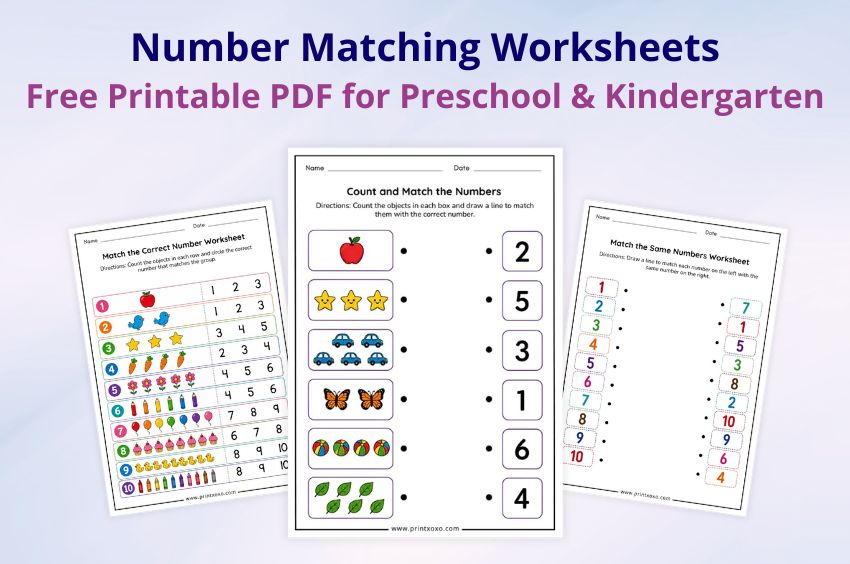 Number Matching Worksheets free printable PDF for preschool and kindergarten kids