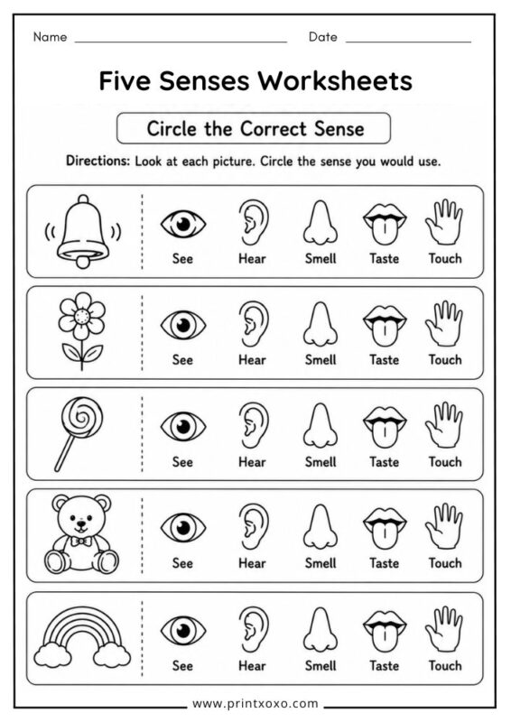 Circle the Correct Sense Five Senses Worksheet