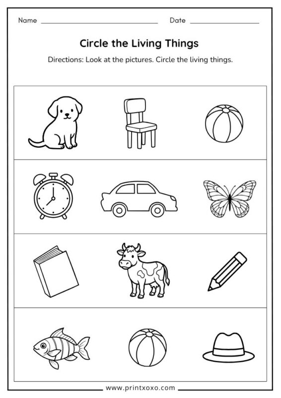 Circle the Living Things worksheet for preschool and kindergarten