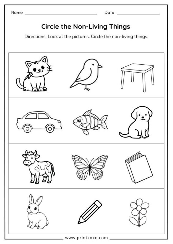 Circle the Non-Living Things worksheet for preschool and kindergarten