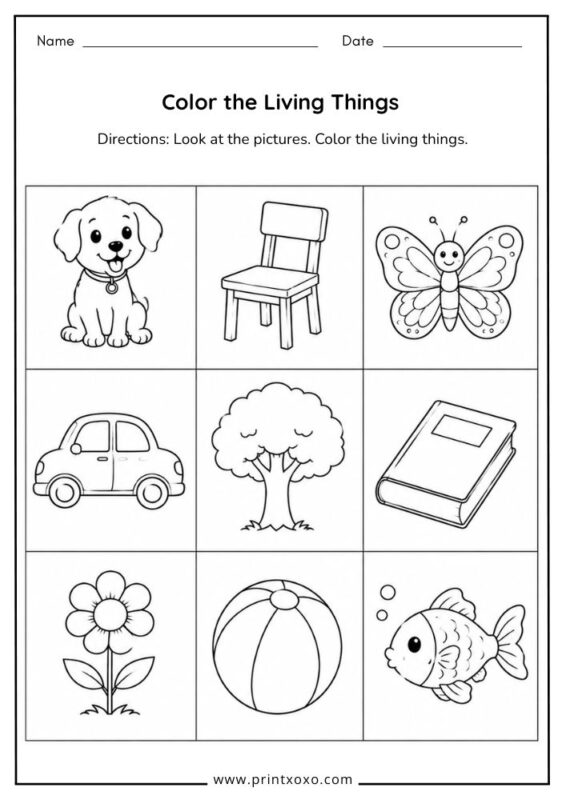 Color the Living Things worksheet for preschool children