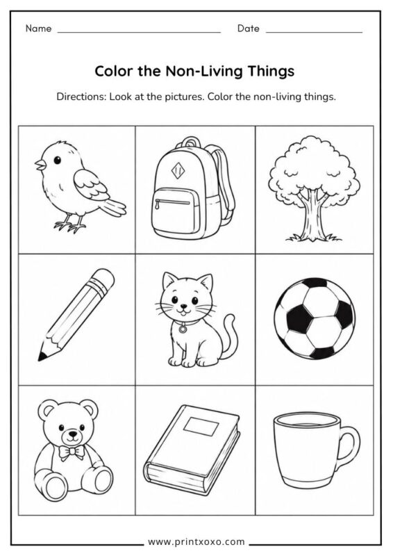 Color the Non-Living Things worksheet for kindergarten students