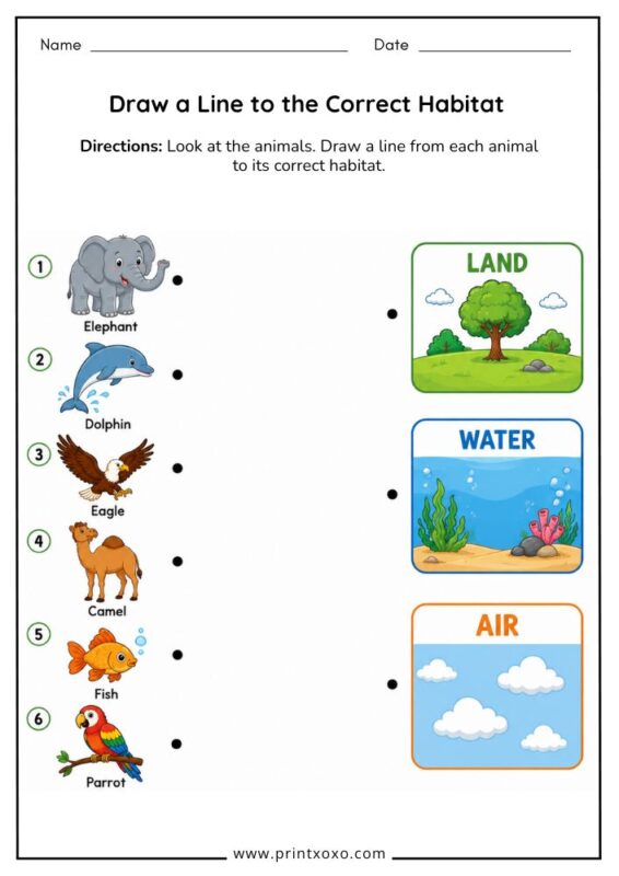 Draw a Line to the Correct Habitat Worksheet