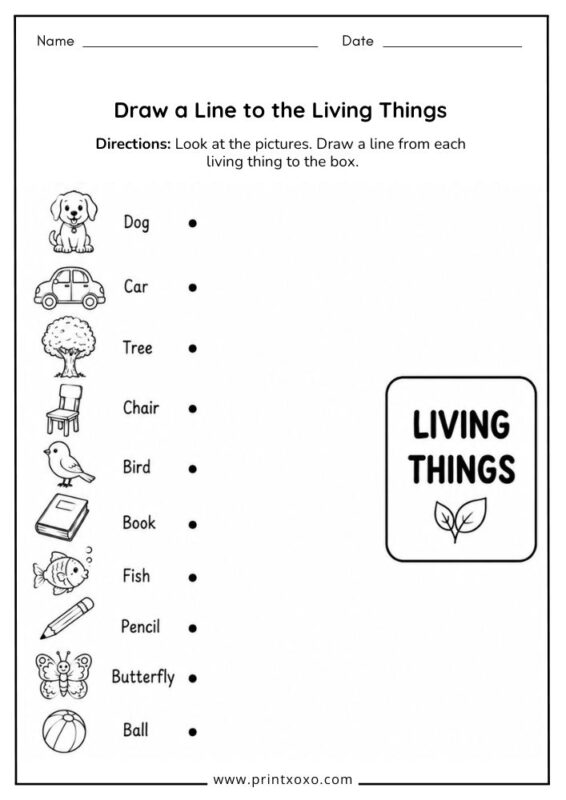 Draw a Line to the Living Things worksheet for preschool kids