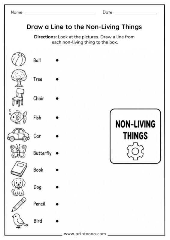 Draw a Line to the Non-Living Things worksheet for kindergarten