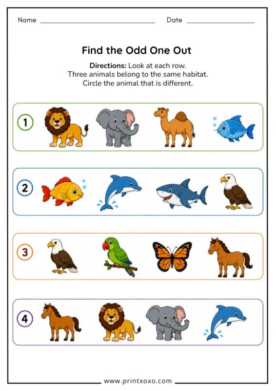 Find the Odd One Out Animal Habitat Worksheet