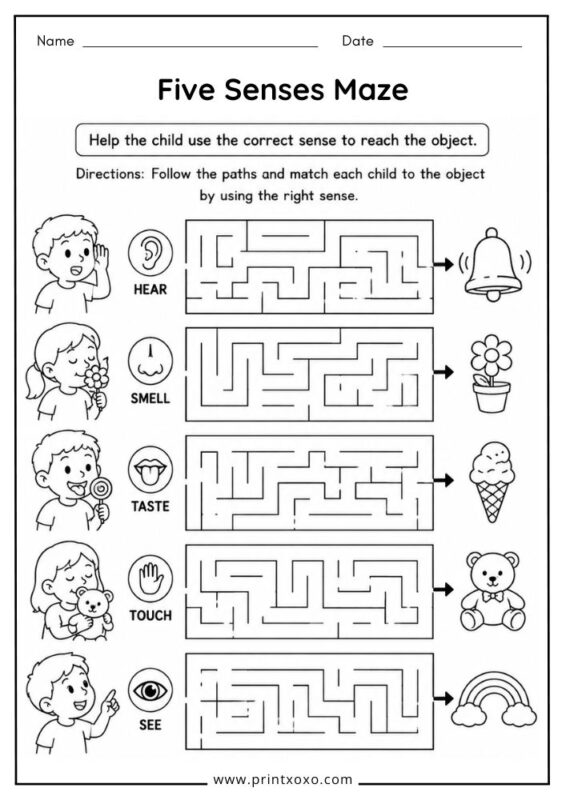 Five Senses Maze Worksheet for Preschool