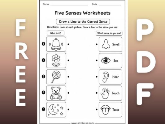 Free Printable Five Senses Worksheets for Preschool and Kindergarten