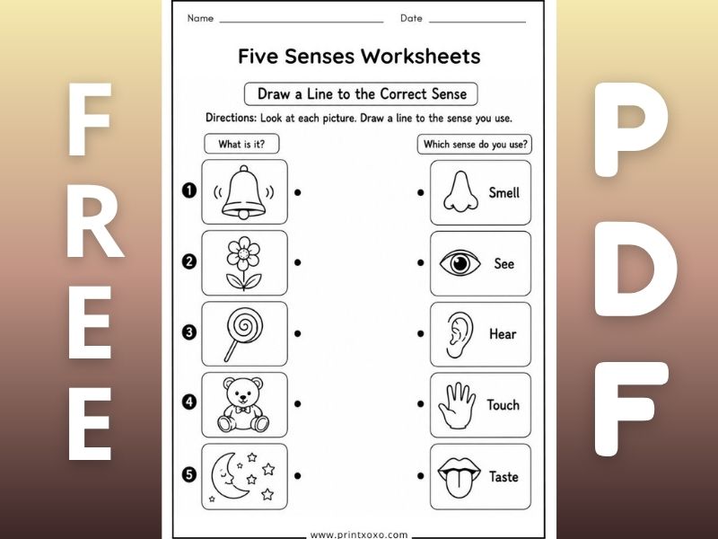 Free Printable Five Senses Worksheets for Preschool and Kindergarten