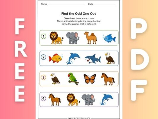 Land Water and Air Animals Worksheets for Preschool and Kindergarten