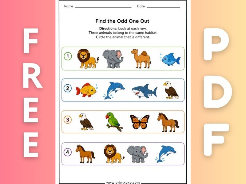 Land Water and Air Animals Worksheets for Preschool and Kindergarten