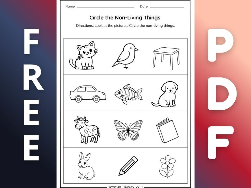 Living and Non-Living Things Worksheets for Preschool and Kindergarten