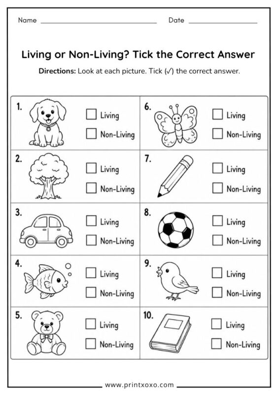 Living or Non-Living tick the correct answer worksheet