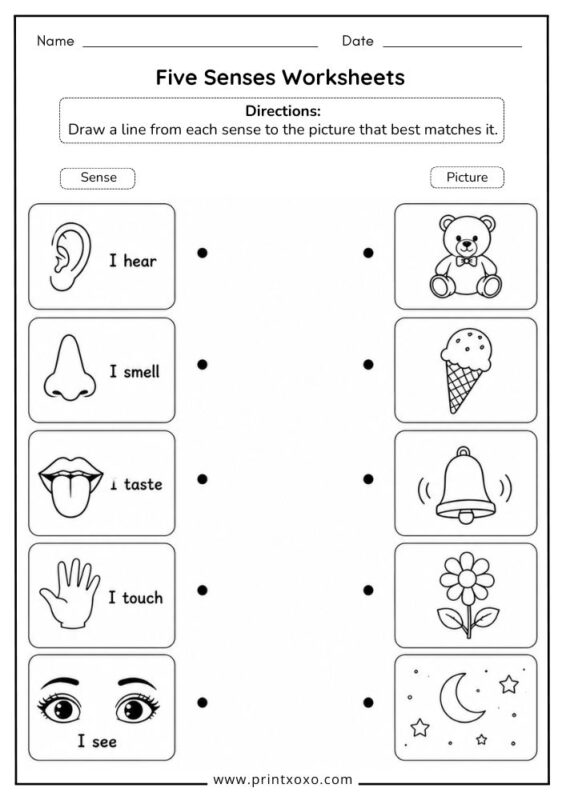 Match the Sense to the Picture Five Senses Worksheet for Preschool