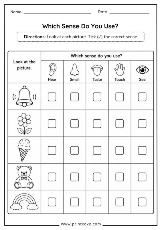 Which Sense Do You Use Five Senses Worksheet
