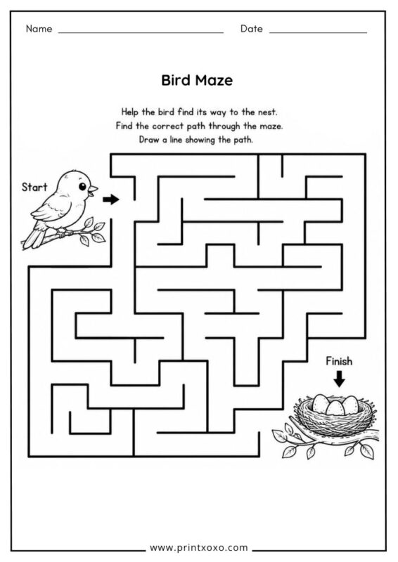 Bird Maze worksheet for preschool and kindergarten