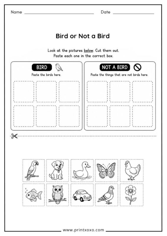Bird or Not a Bird classification worksheet