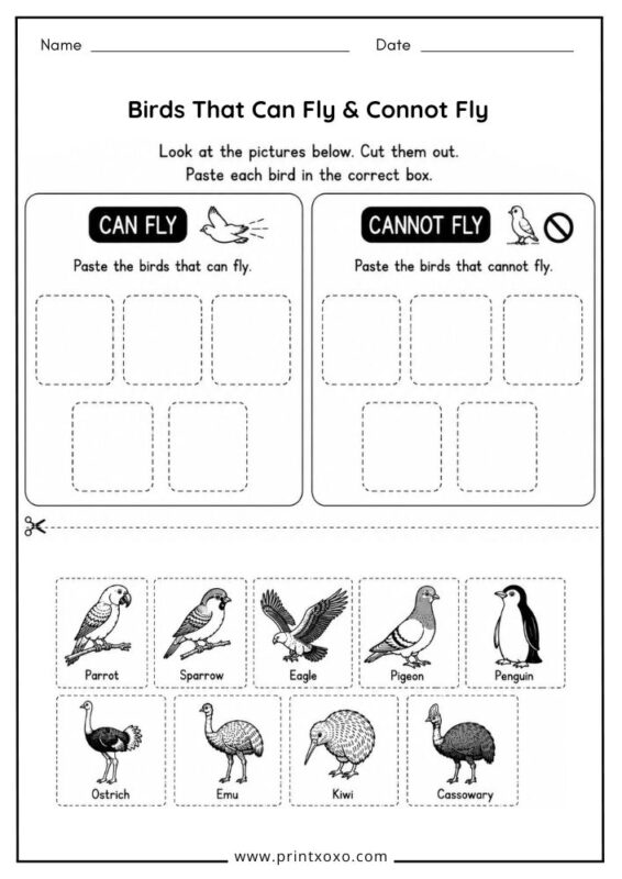 Birds That Can Fly and Cannot Fly worksheet