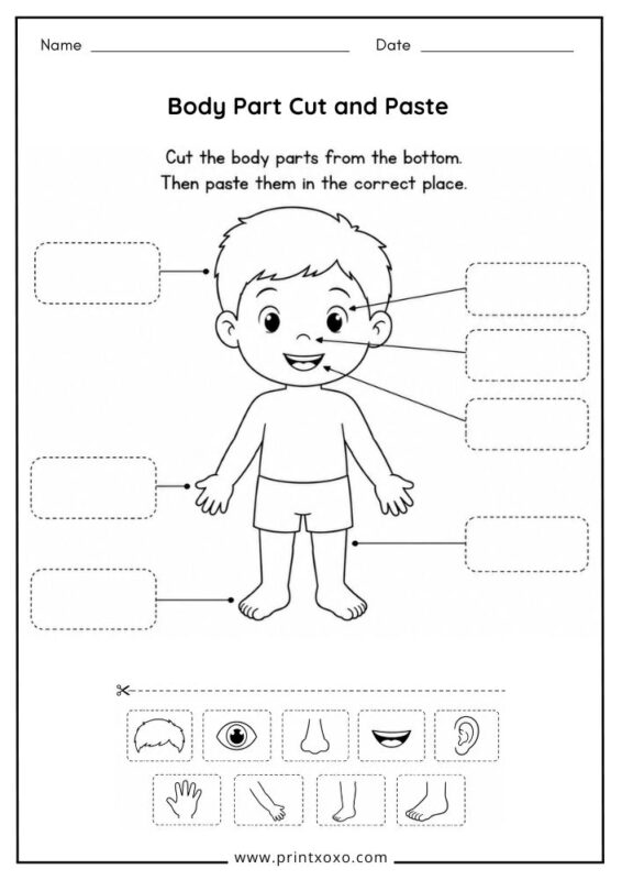 Body Part Cut and Paste printable worksheet.