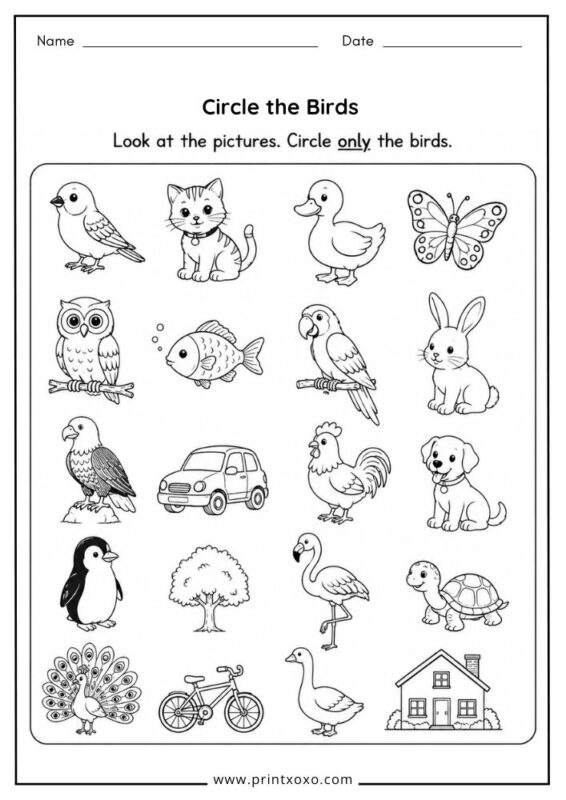 Circle the Birds worksheet for preschool and kindergarten