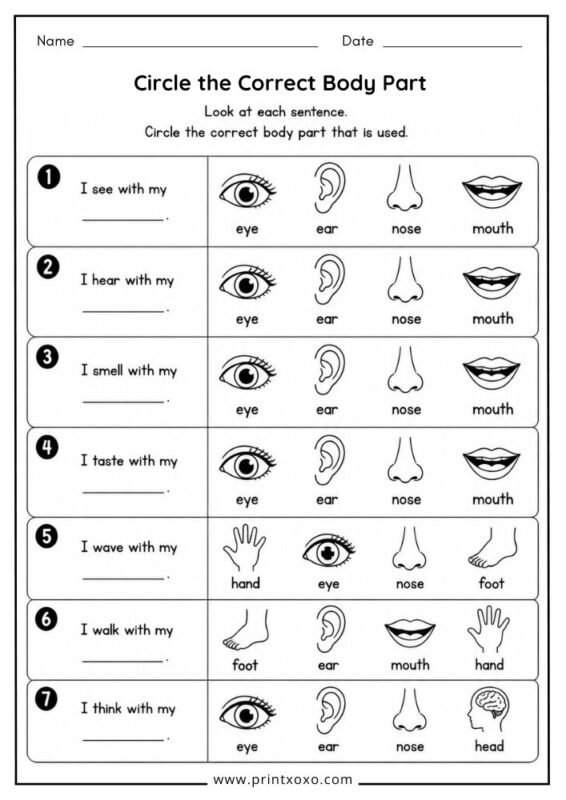 Circle the Correct Body Part printable worksheet.
