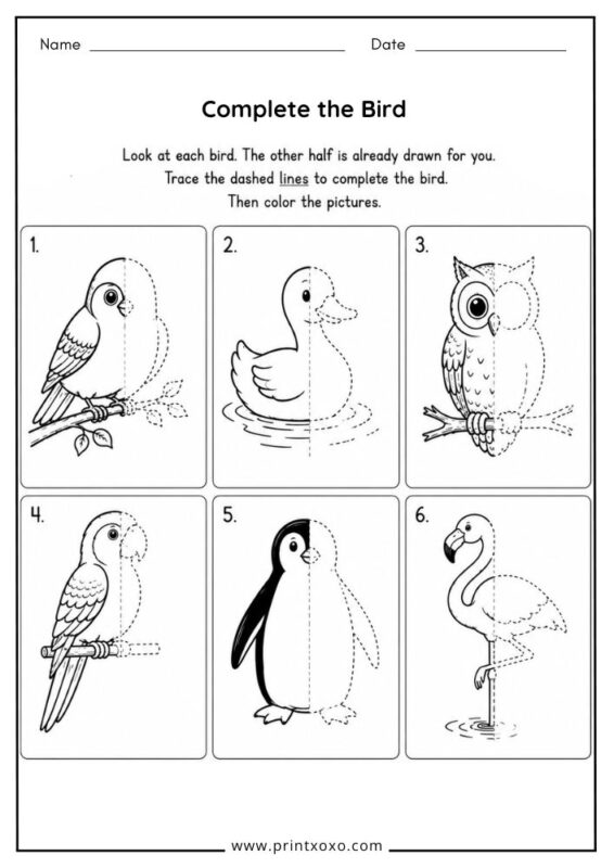 Complete the Bird worksheet for preschool and kindergarten