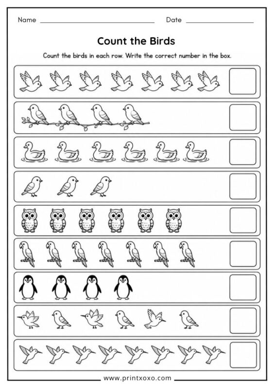 Count the Birds worksheet for preschool and kindergarten