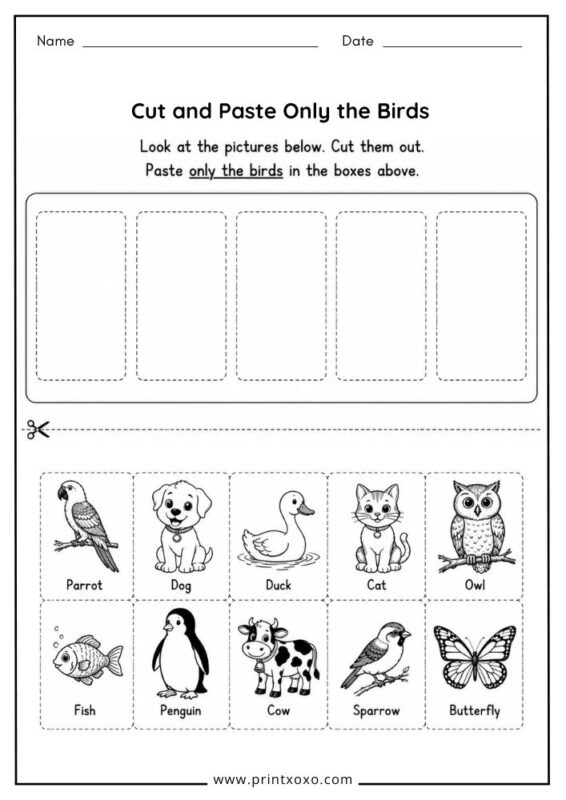 Cut and Paste the Birds worksheet for preschool and kindergarten