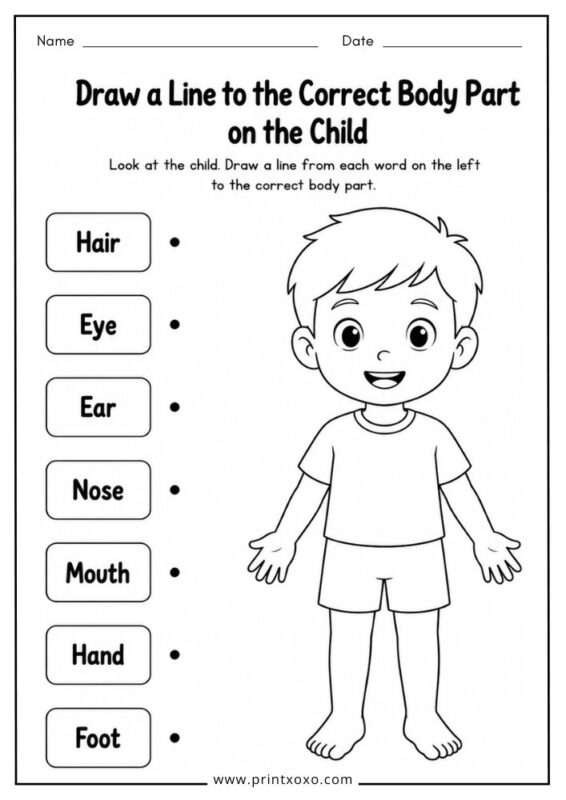 Draw a Line to the Correct Body Part on the Child printable worksheet.