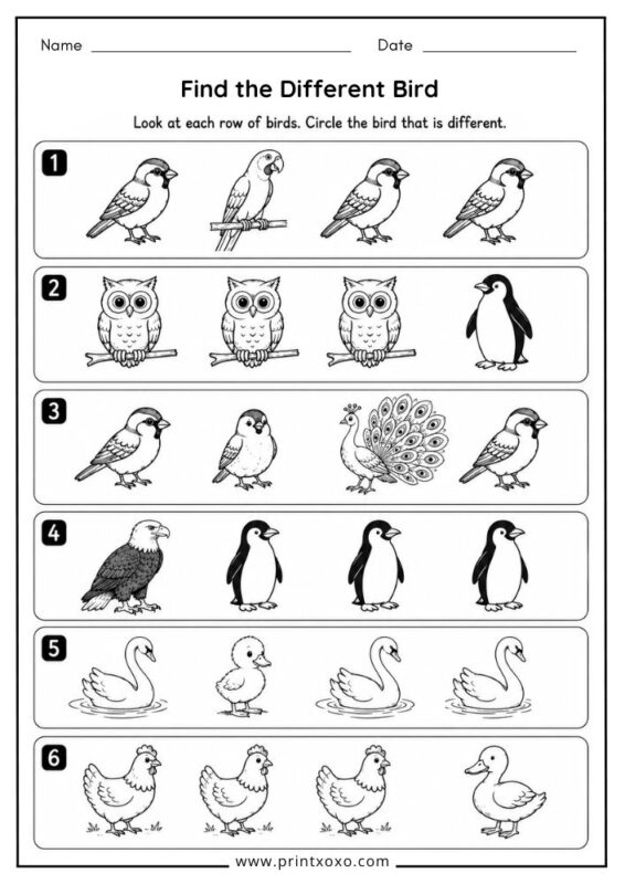 Find the Different Bird worksheet for preschool and kindergarten