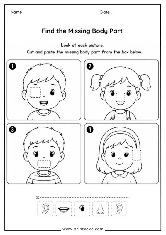 Find the Missing Body Part printable cut and paste worksheet.