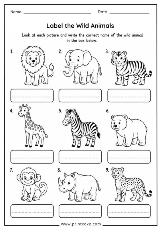Label the wild animals printable worksheet