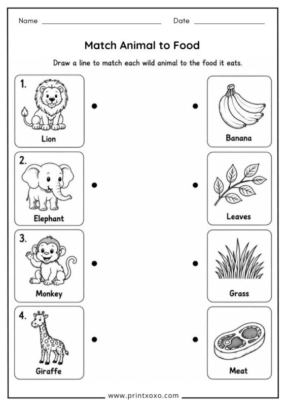 Match wild animals to their food worksheet