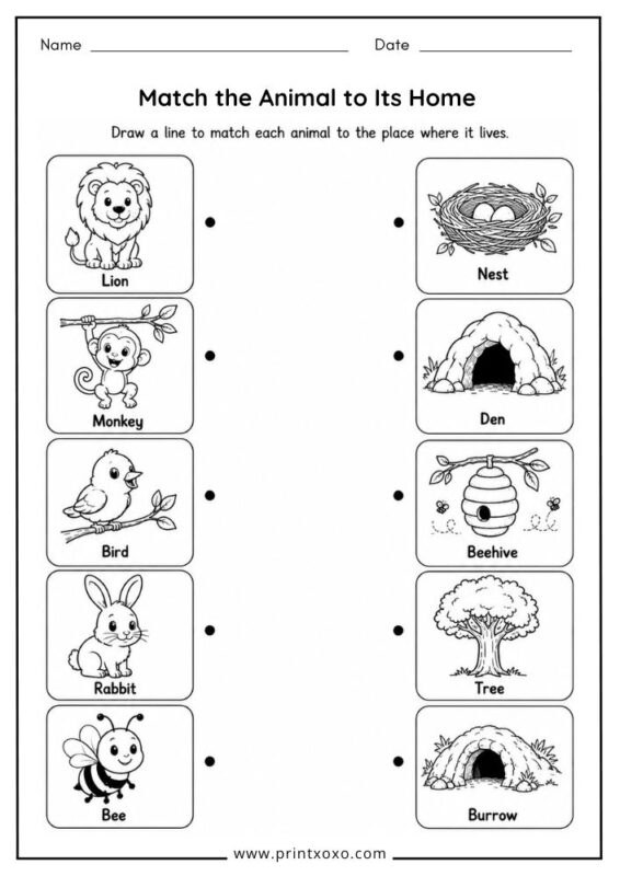 Match each wild animal to its home worksheet