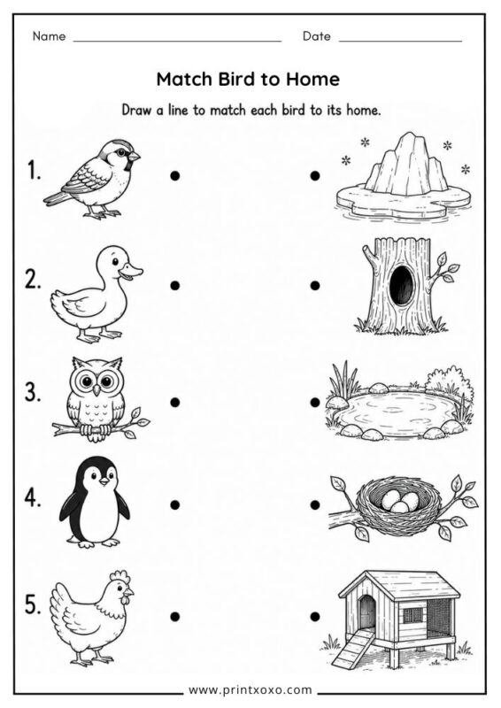 Match Bird to Home worksheet for preschool and kindergarten